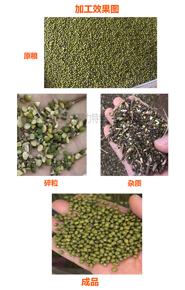 1590024554134887.jpg 綠豆風篩清選效果圖600.jpg