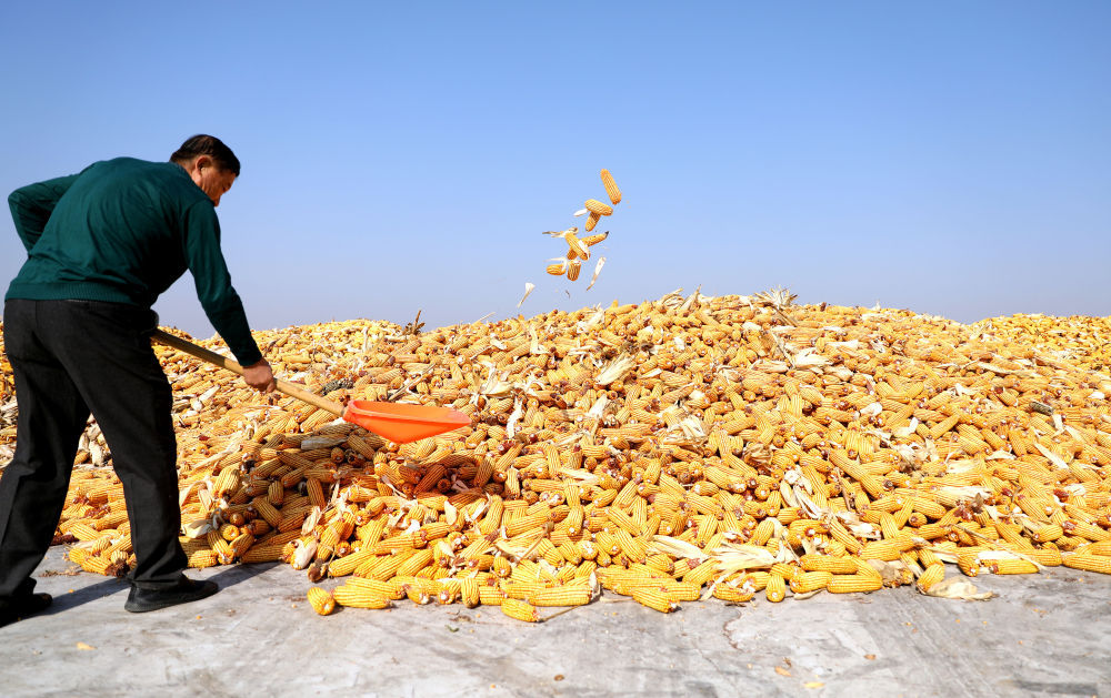 1698377259138262.png 圖片3.png