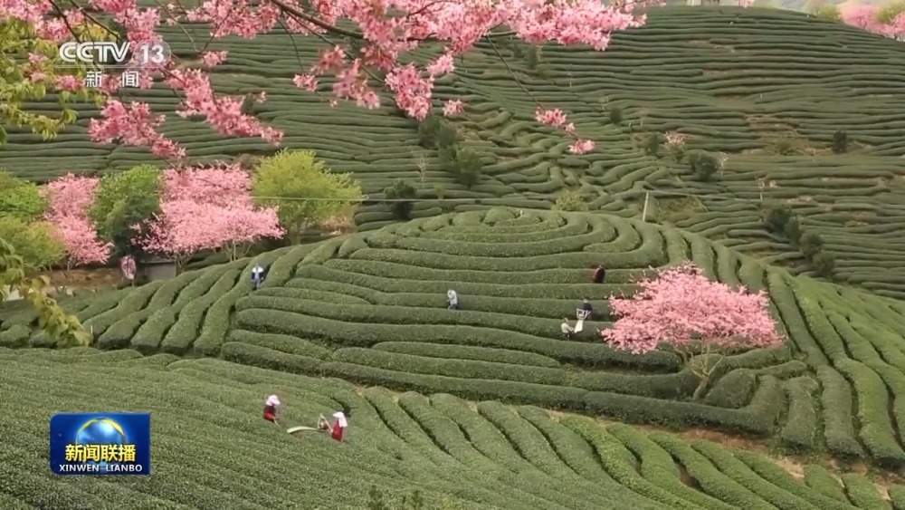 1699604892392231.jpeg 20231110_162639_001.jpeg