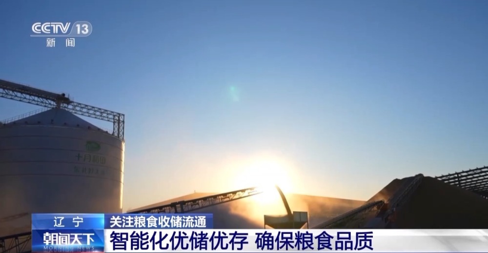 1700809881737559.jpg 20231124_143531_007.jpg