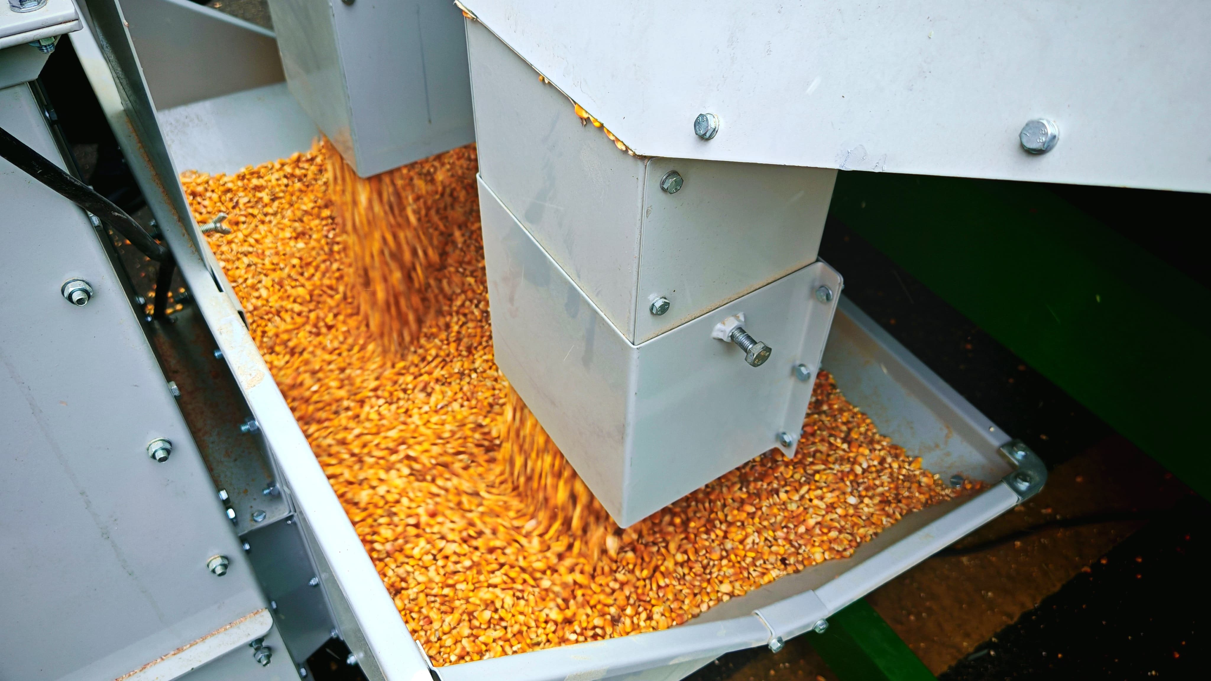 1749781138807238.jpg 1749781138807238.jpg