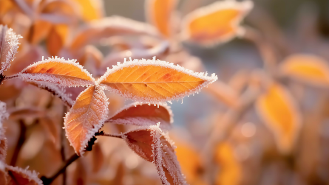 1761187854276015.png 1761187854276015.png